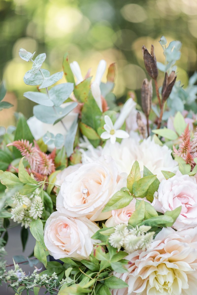 christa-rene-photographyar-10