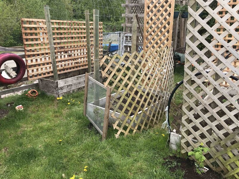 The SIlo Garden 2020 01