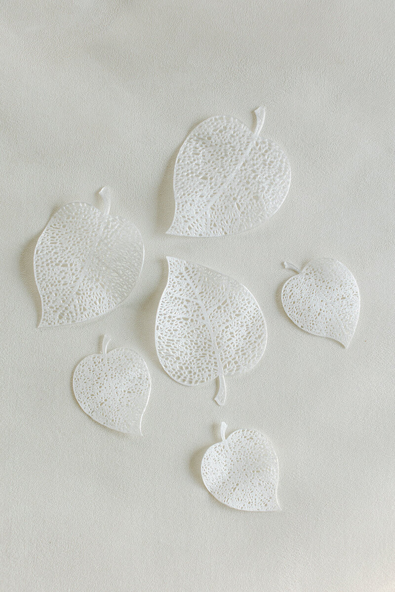 Delicate gossamer leaf used as a styling prop in flat lay photography