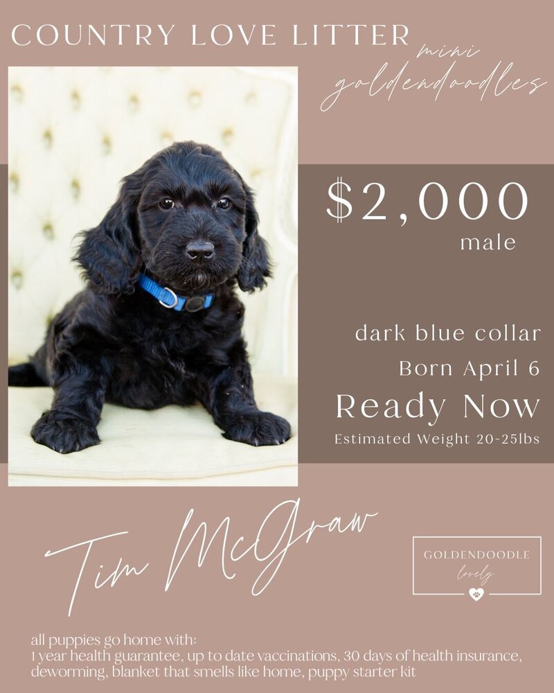 Country Tim McGraw dark blue male