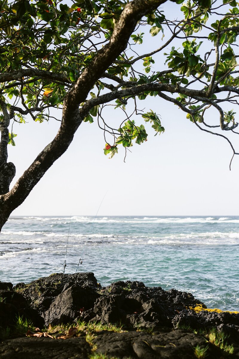 Frances Sagun, Hawaii Realtor & Property Manager_0060