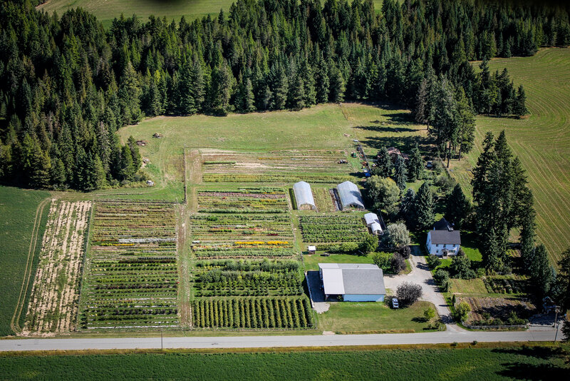 Arial Photo of Farm