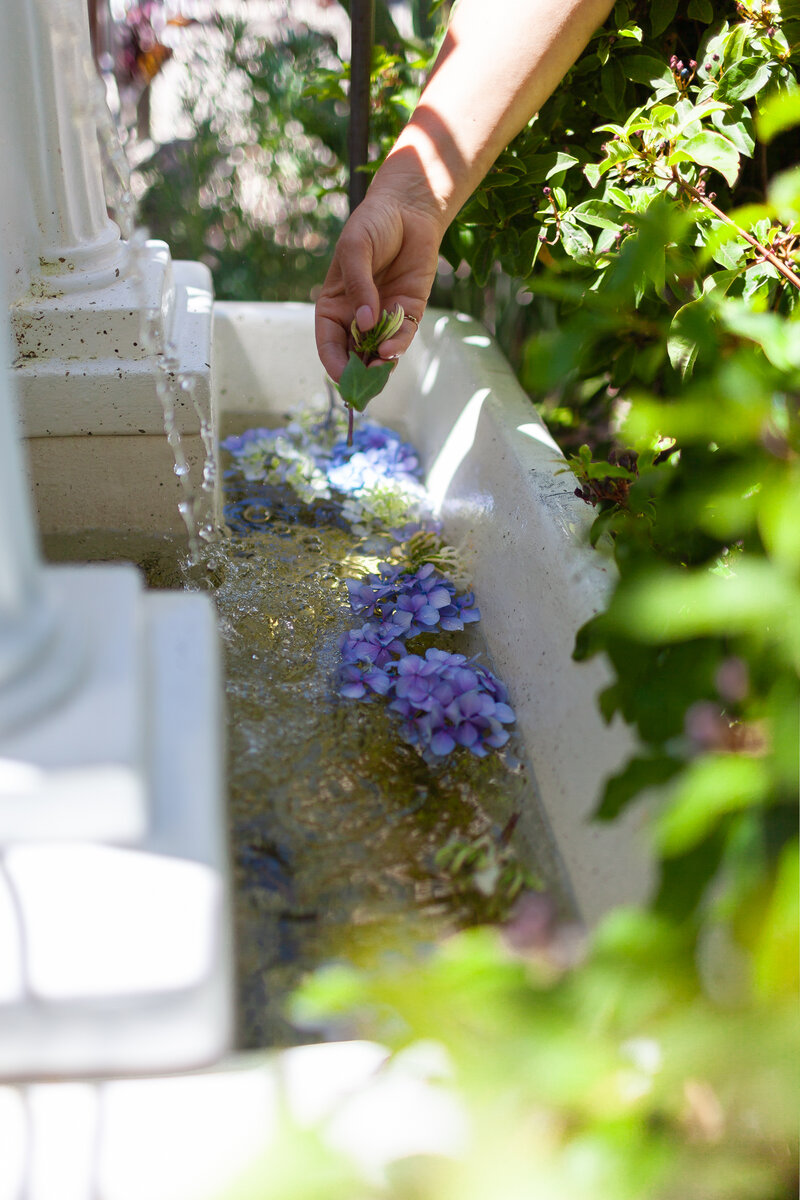 AllisonBerardi_KTS_jul2020_395