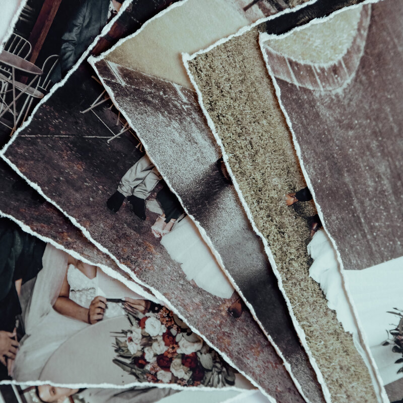 FullBloom_SeldexAlbums2024_-17