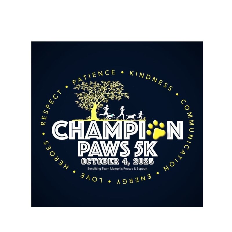 45be48b0-e05a-4150-b300-6ec74df11211