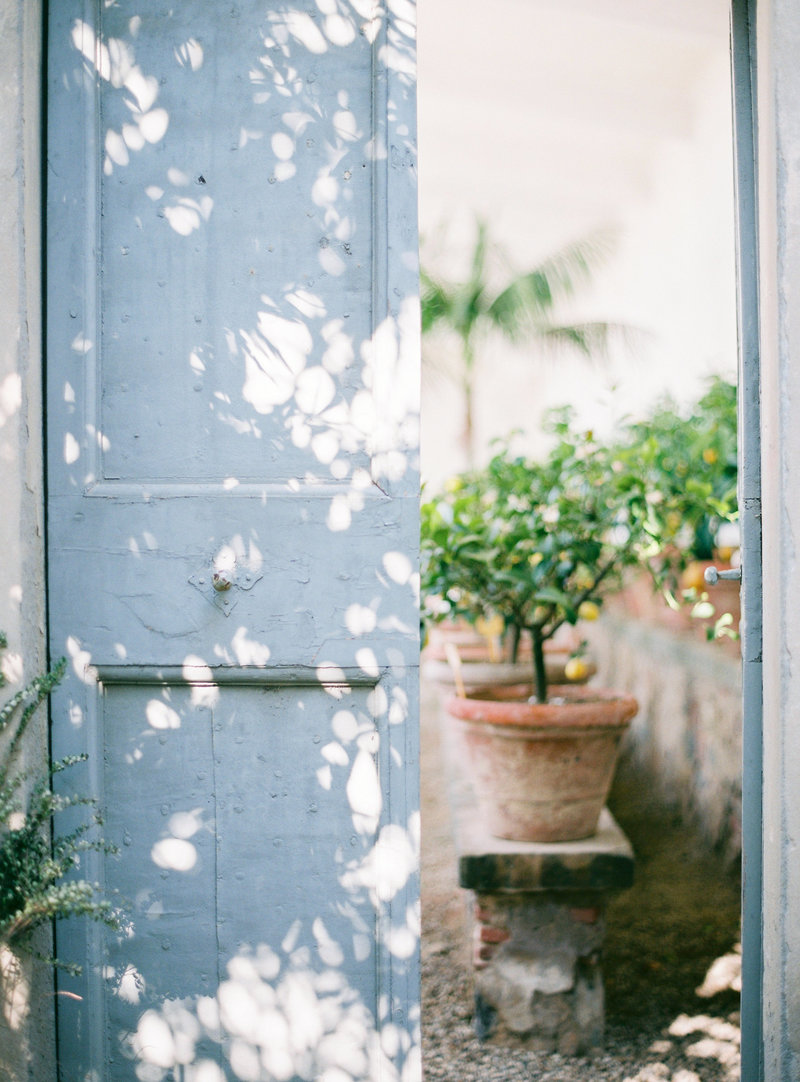 Boboli-garden-blue-door-citrus-trees-Stephanie-Brauer