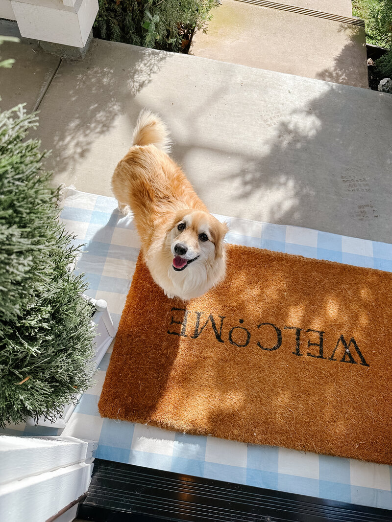 a dog smiling while standing on a welcome mat