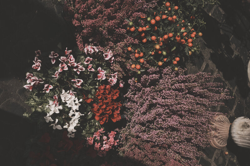 AQR_25_09_30_RICOHGR3X_8073