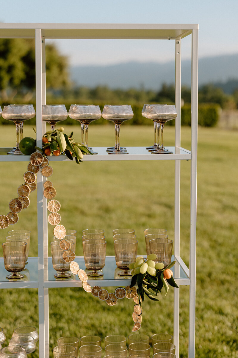 Katelyn Bradley Photography | Chatuea St Jean Napa Wedding238