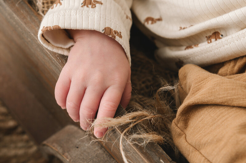 newborn