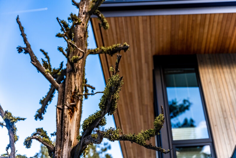 modern-mountain-house-exterior-cedar-siding-detail