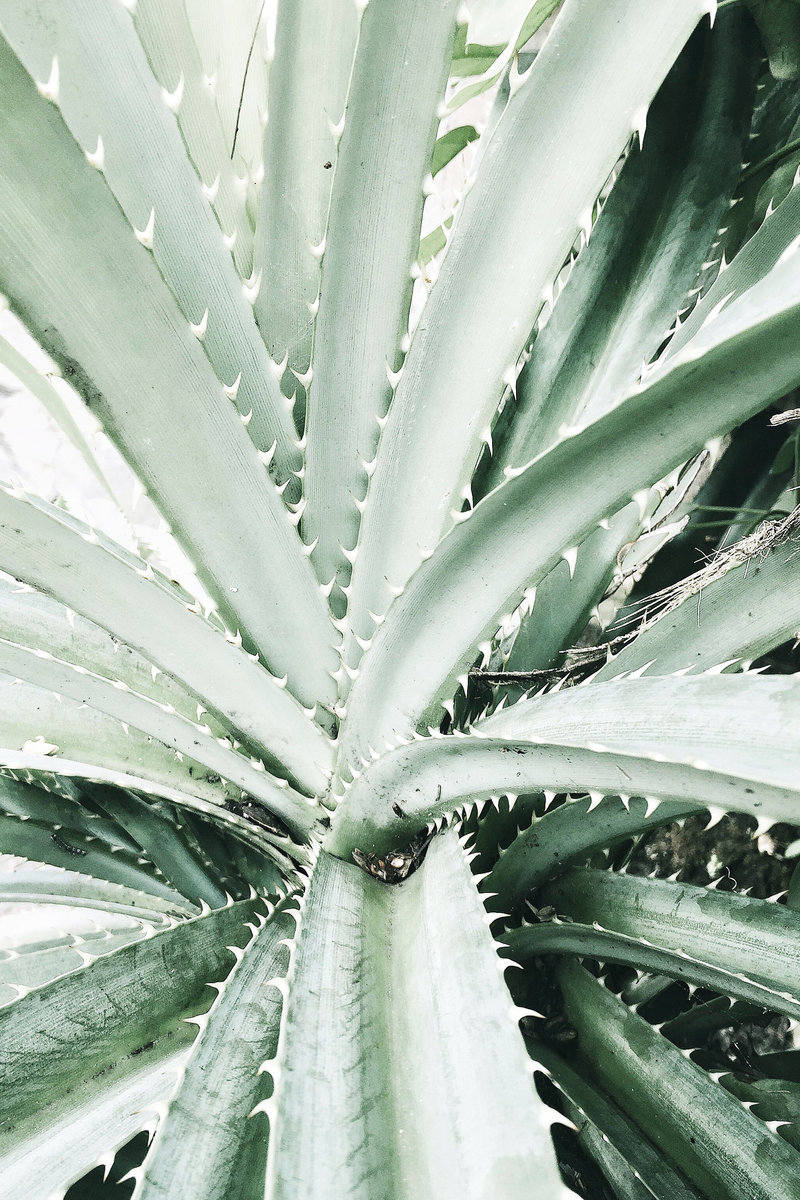 greenery