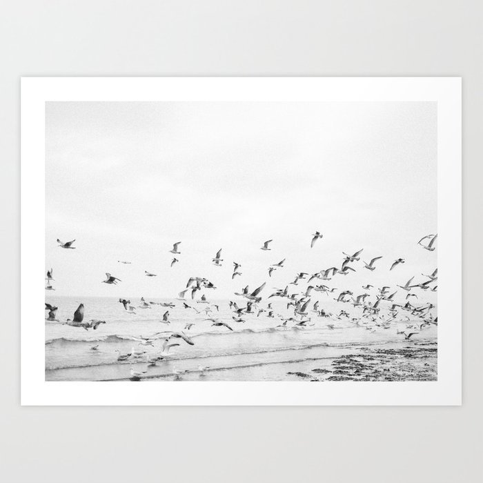 seagulls-coastal-black-and-white-photo-film-photography-beach-prints-2
