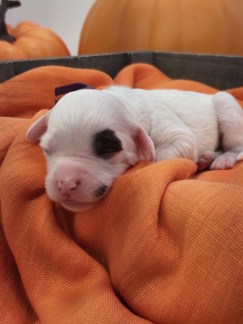 ac30d5f8-0431-412a-a49d-e31e8586ae25