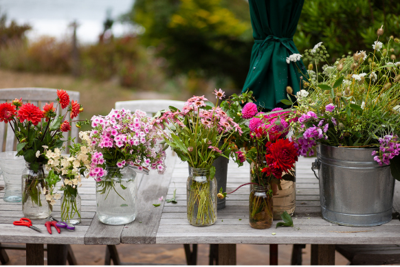 2025 Soothe Program (4)