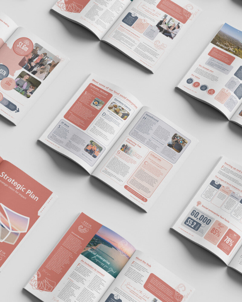 FSEIH-Strategic-Plan-Document