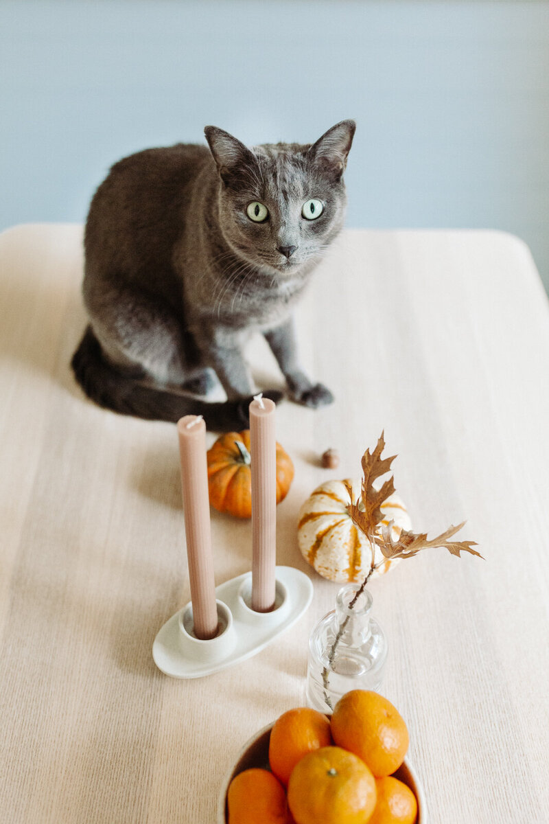 danielle-motif-thanksgiving-3