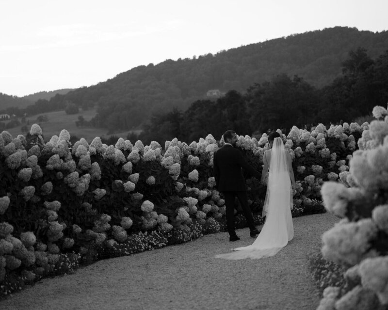 Pippin hill farm wedding portraits in hydrangea pathway