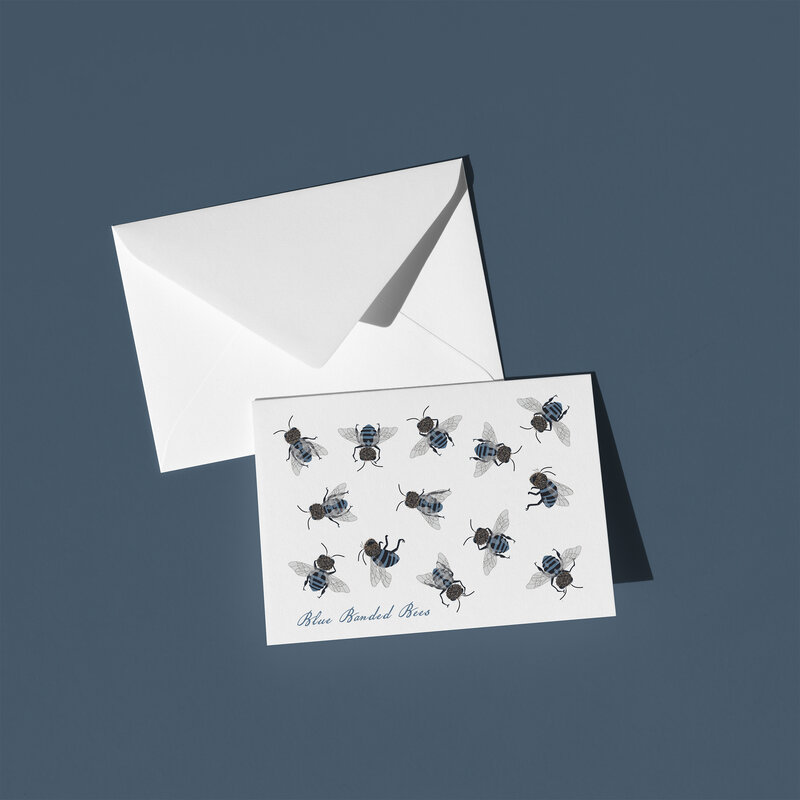 These A6 blank cards are perfect for sending a thoughtful note or simply keeping in your stationery drawer for special moments. Each card showcases a unique hand-drawn design - Australian Blue Bees - by Green Acre Designs.