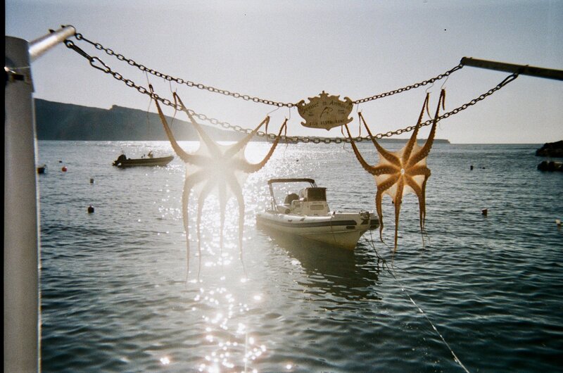 Image of octopus at beach from travel and NYC photographer at ADP Studio