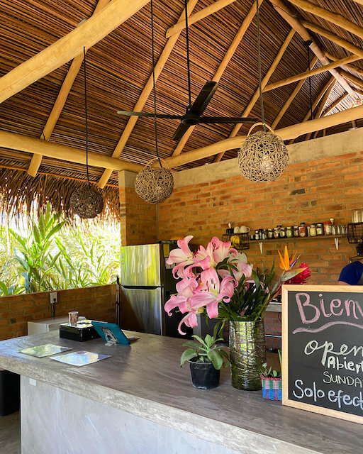 Marisol in San Pancho serves fresh-pressed juices, smoothies, wholesome breakfasts, and vibrant salad bowls made from whole-food ingredients—available for dine-in or takeout.