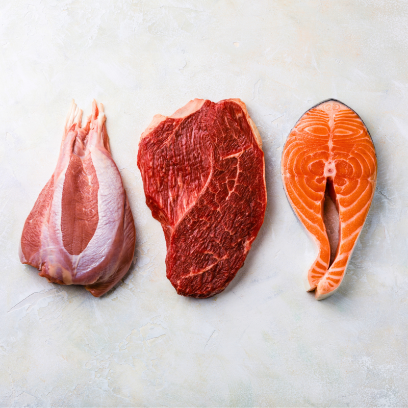 carnivoor dieet gezond