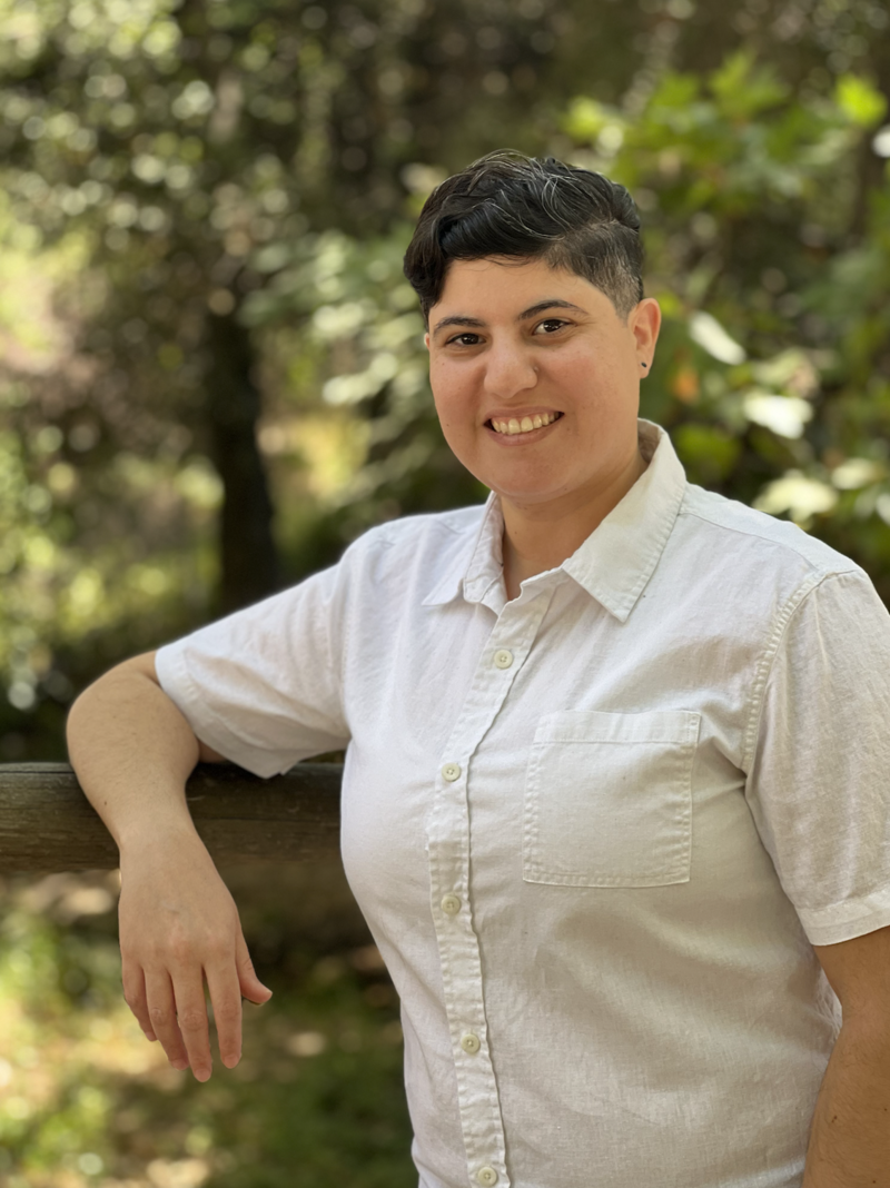Image of Rae Amirian LCSW. Rae had short dark hair, a smile, and a grey blue button up shirt.