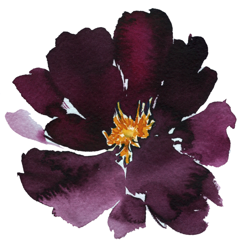 flower-1-plum