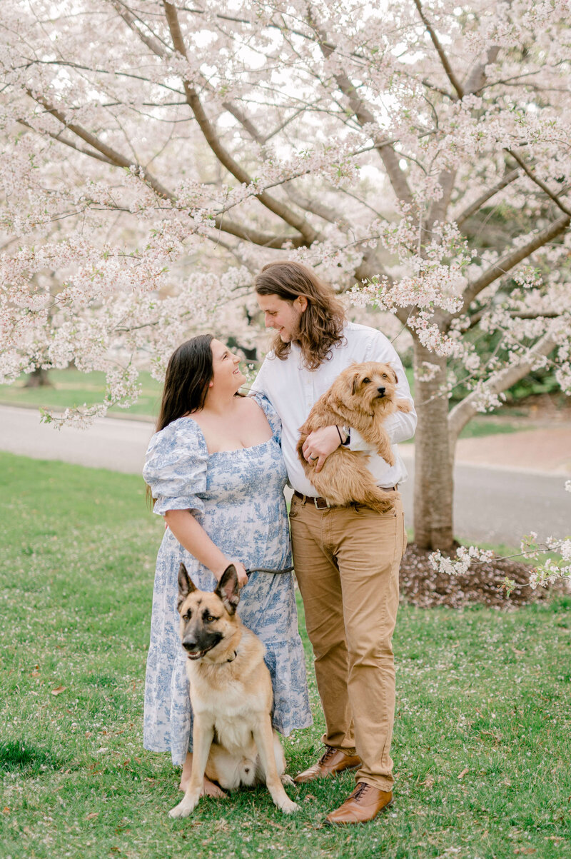 Virginia Wedding Photographer Rachael Mattio with Dogs