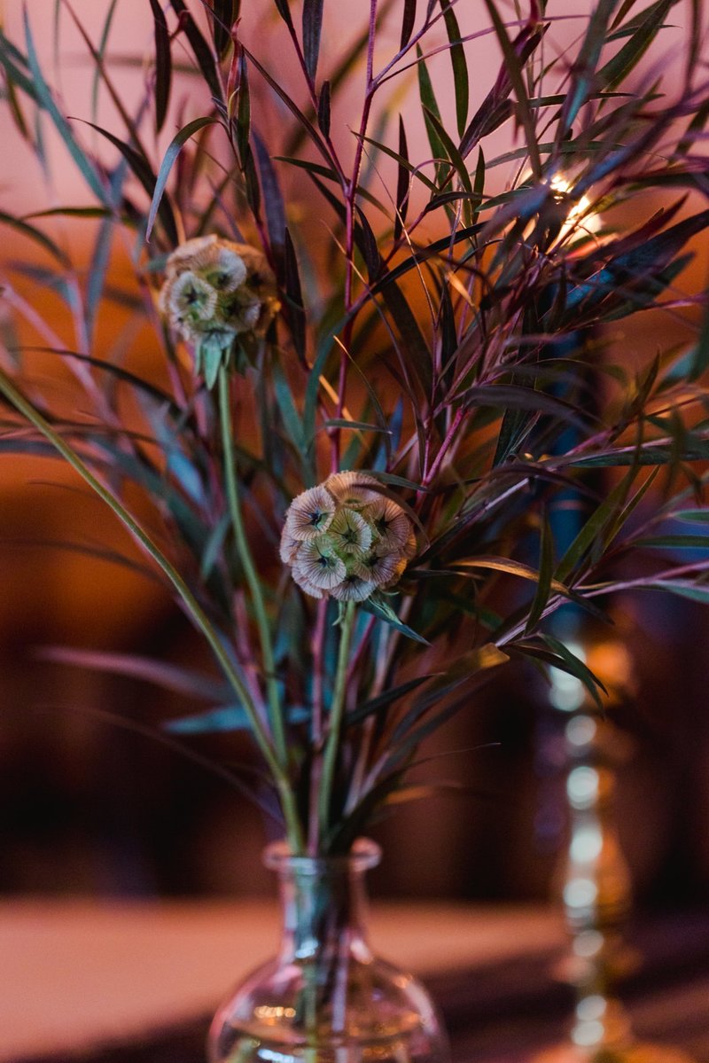 The-Grange-Community-Kitchen-Hamburg-NY-Halloween-Party-Buffalo-Bills-8