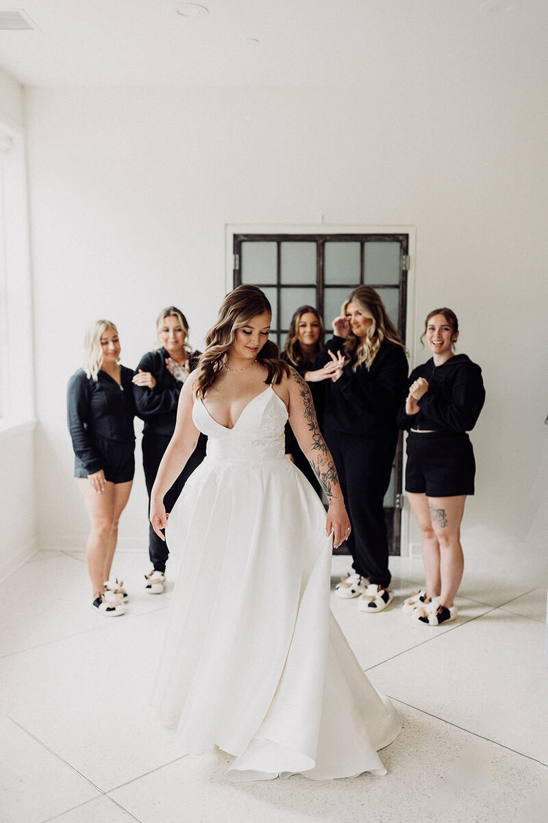 Burlington, Wisconsin wedding photographer