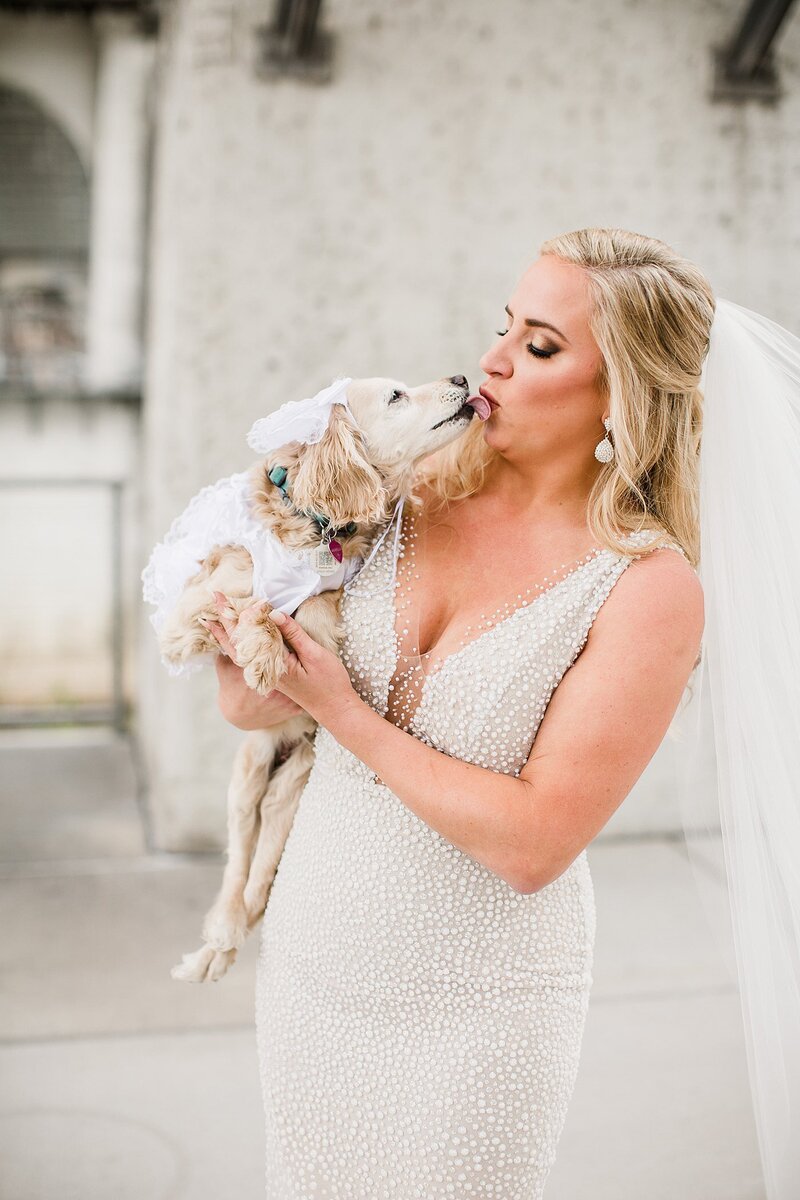bride kissing dog by Knoxville Wedding Photographer, Amanda May Photos