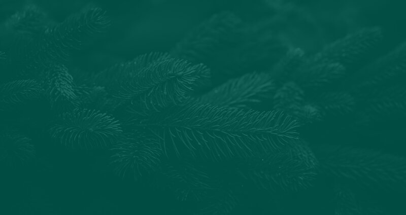 Pacific Northwest | Graphic Designer | Website Designer | Branding | For Golf Restaurant and Hospitality Brands | Van Curen Creative