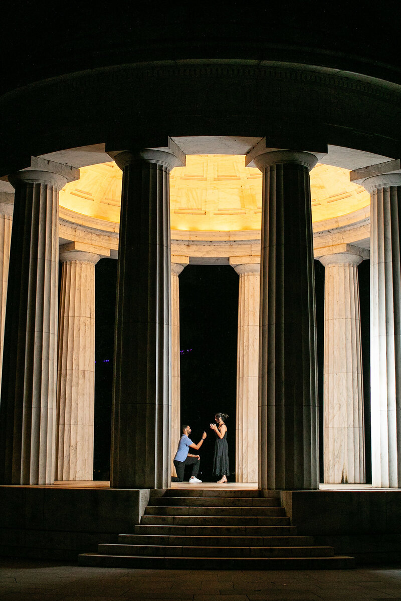 Ali-&-Dilman-Surprise-Proposal-50