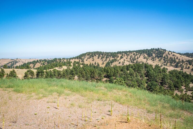 1440 S Lininger Dr-015-054-Land-MLS_Size