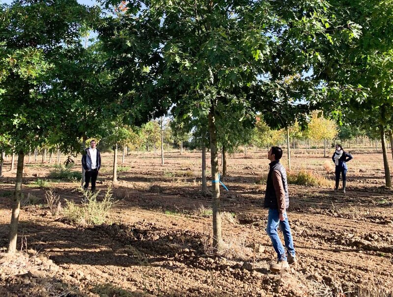 horus-paysages-architecte-paysagiste-suivi-chantier-2