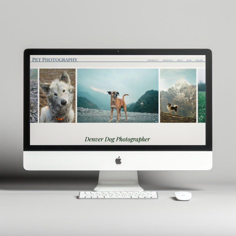 Dog photographer ShowIt website template mockup