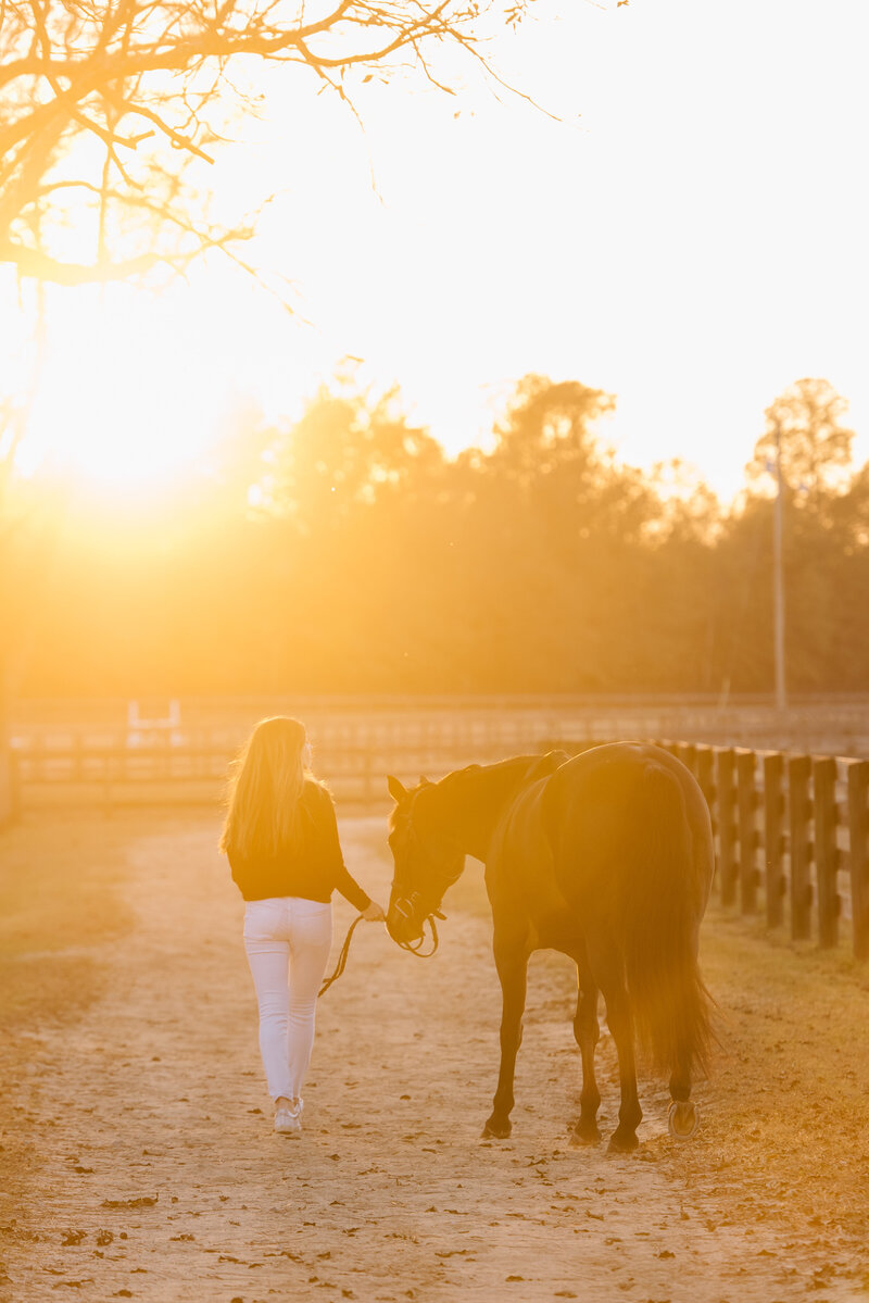 sunset EQUINE PHOTOGRAPHER AIKEN SC HORSES EQUESTRIAN AUGUSTA GA PHOTOGRAPHY AIKEN SOUTH CAROLINA EQUESTRIAN PHOTOGRAPHER EQUINE PHOTOGRAPHY aiken south carolina  horse photography