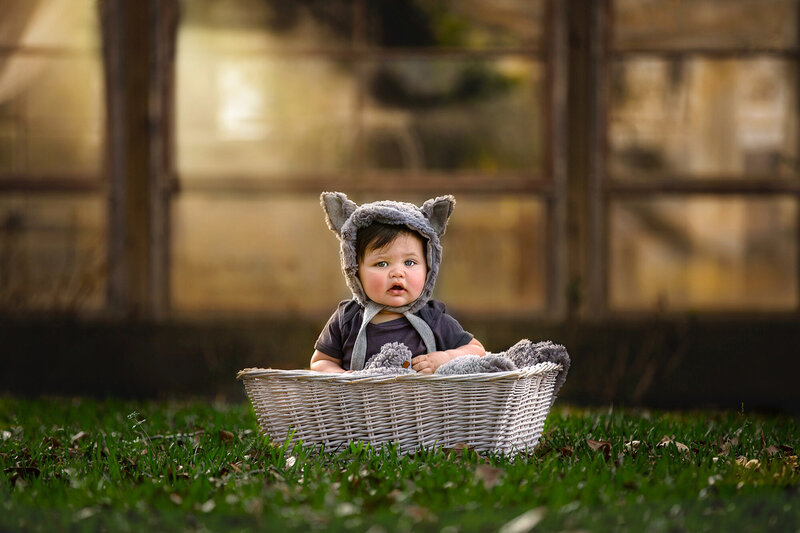 Sitter baby inside a white basket in front of a beautiful greenhouse.