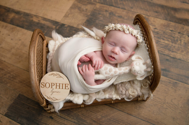 Newborn baby girl holding a giraffe lovey laying in a tiny bed wrapped in cream for her newborn photos in Burlington, Ontario.