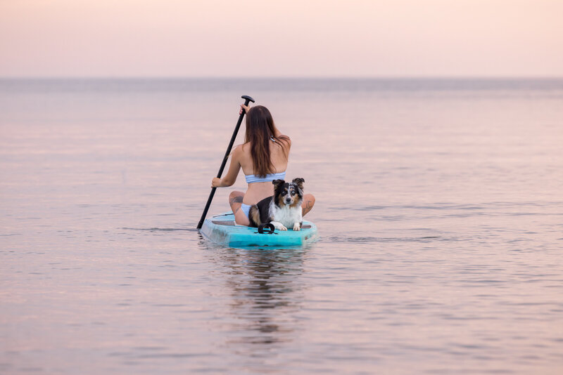 A woman is on a paddleboard with her shepherd dog on Lake Erie in Cleveland Ohio