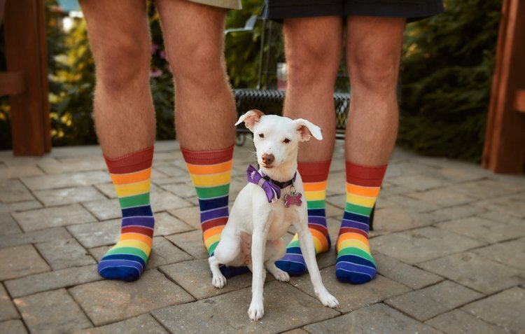 dog sitting at the feet of two men in rainbow socks