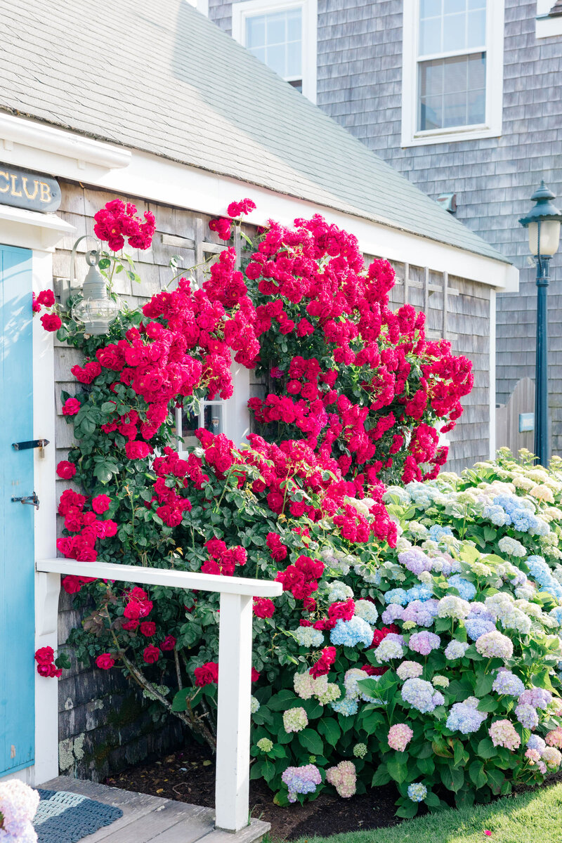 nantucket-78