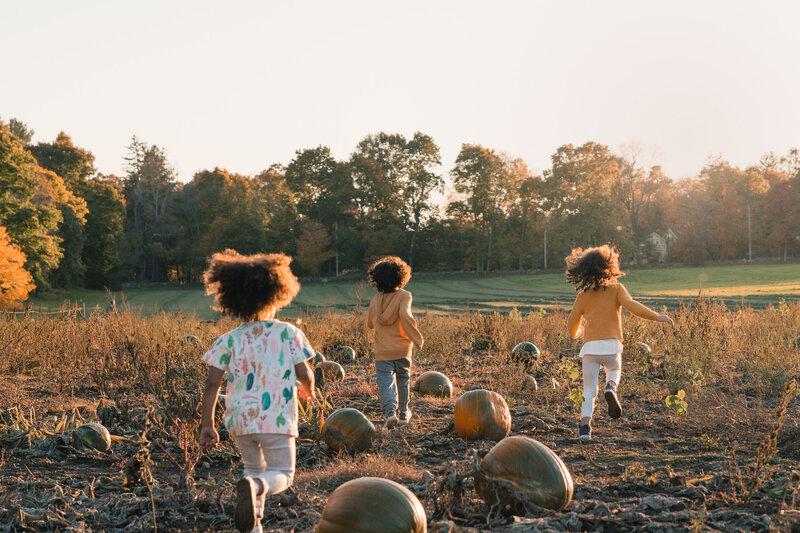Three kids running through a pumpkin patch on a farm near boston