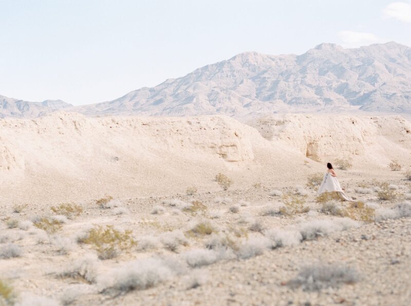 photo of bride at las vegas elopement in the dry fossil beds