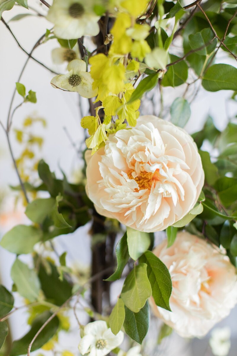 Climbing roses at a Holly Farm wedding in Carmel Valley, CA