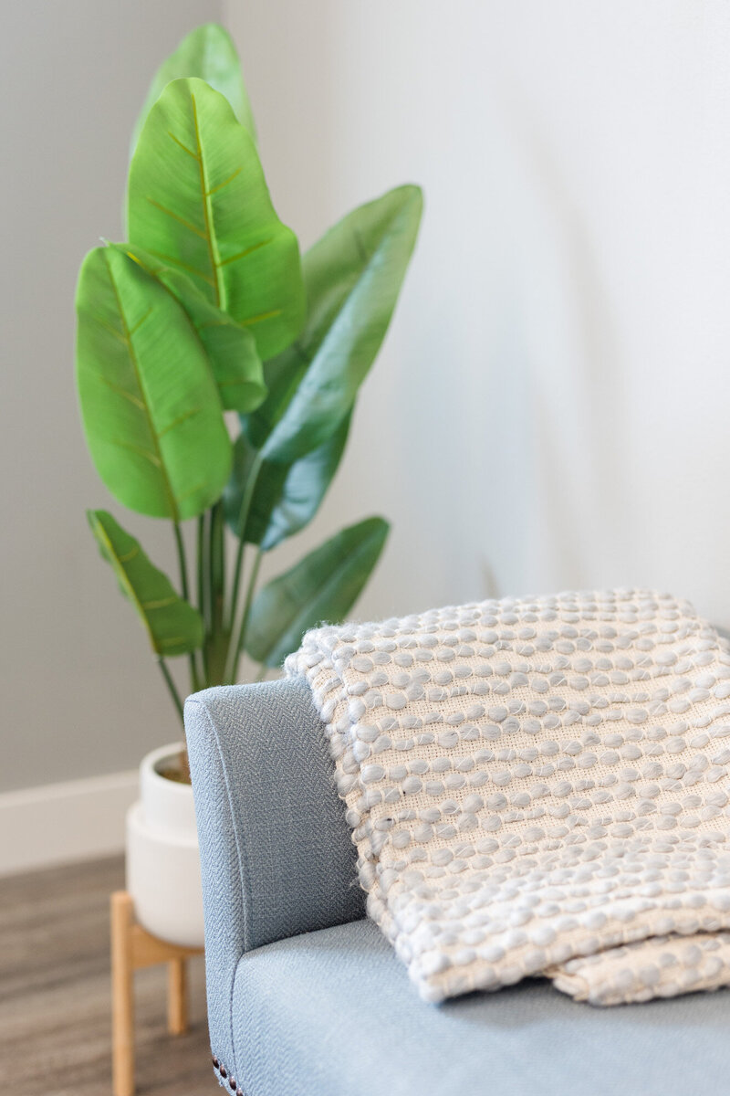 White textured blanket draped over a couch arm next to a large house plant