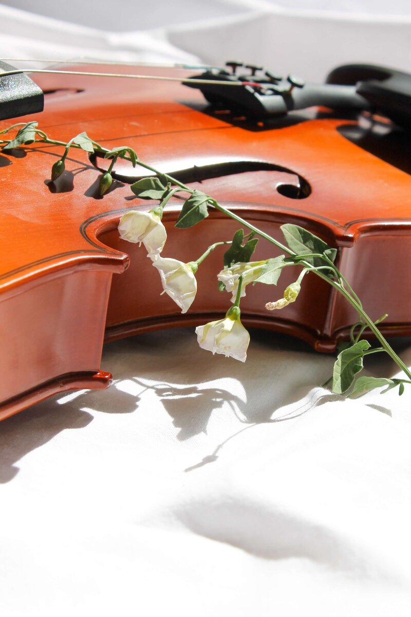 Book a trial violin lesson in the greater Seattle area with Dr. Erika Burns.