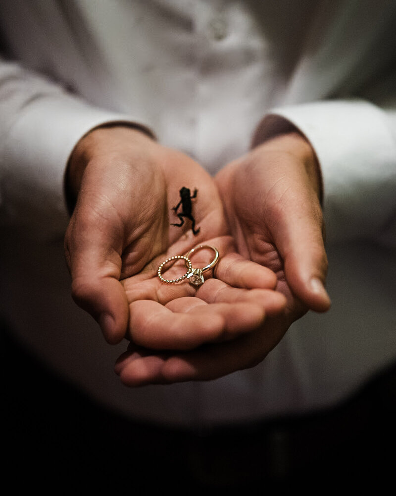 arizona-elopement-photographer-aimee-flynn-photo