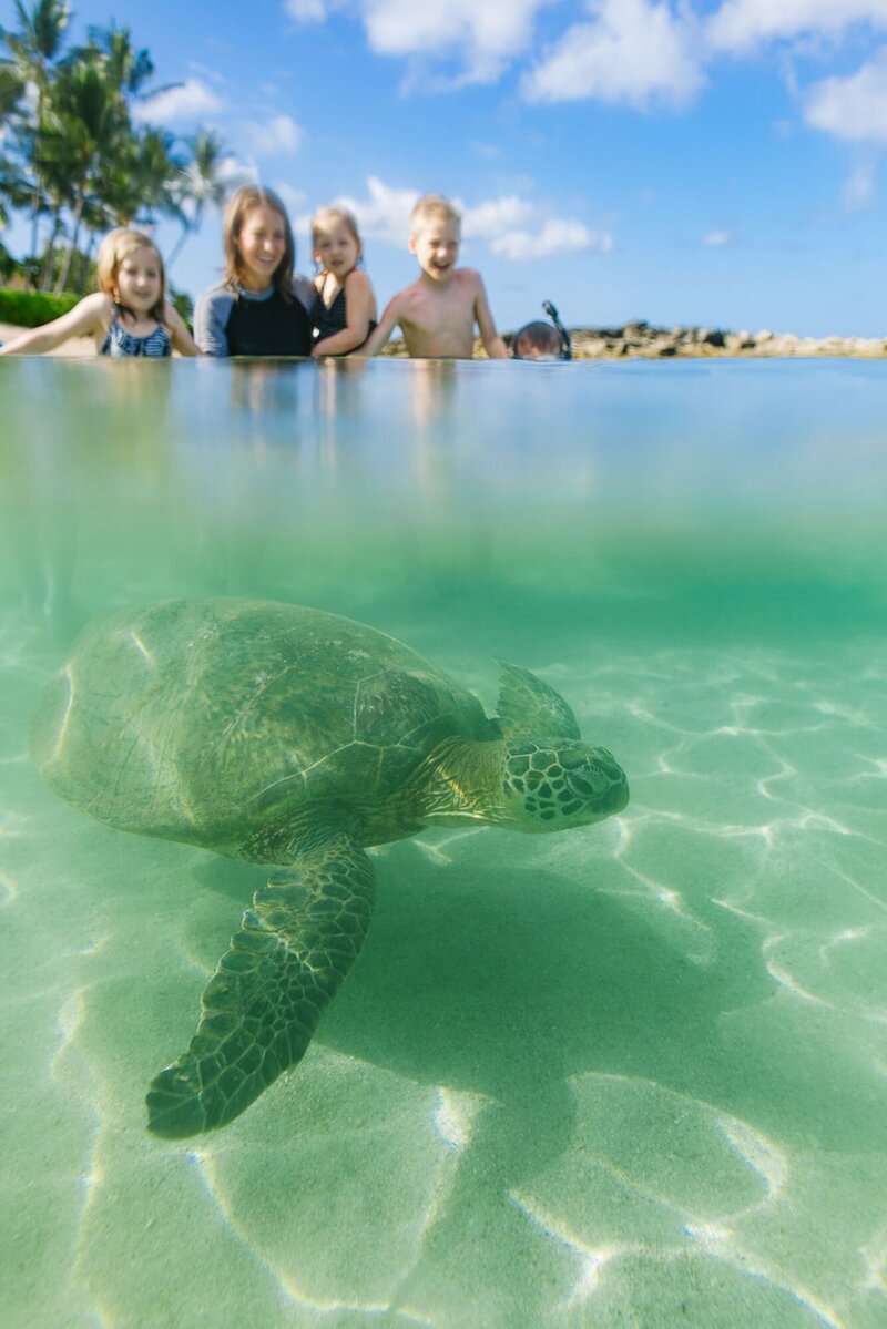 A mother stands with her four children in the water as a turtle swims below them.